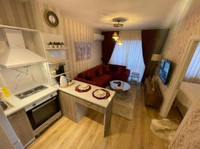 Furnished Apartment SS5